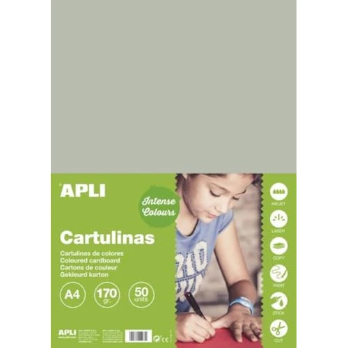 APLI 14242 - A4 grijs karton 170 g 50 vel