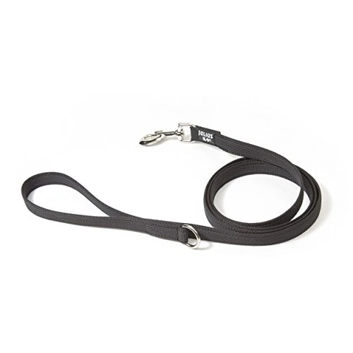 Zeitlich begrenztes Angebot: IDC Color & Gray gumierte Leine, 20 mm x 1,8 m mit Schlaufe und D-Ring, Schwarz-Grau von 14.71 € auf 14.71 € (0.00% Rabatt)