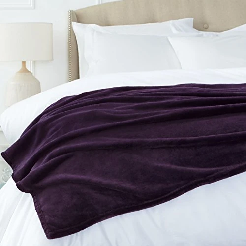 Offerta a tempo: Amazon Basics Copriletto non riscaldata, in morbido velluto, 168 x 229 cm, melanzana - 21% da 18.50 € a 14.59 €