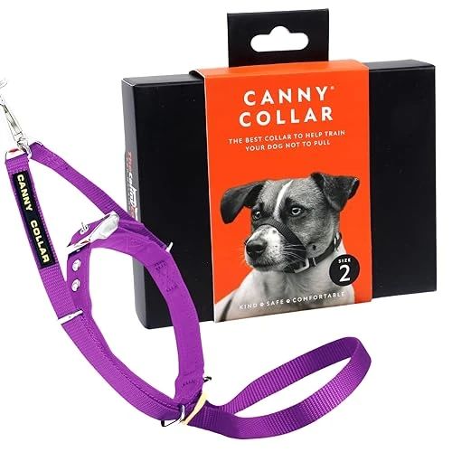 Canny Collar – Anti-Trek Hoofdhalsband voor Honden | Trainingshulpmiddel tegen Trekken aan de Lijn | Zacht, Veilig en Zonder Wurging voor Rustige Wandelingen – Paars, Maat 2