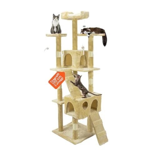 Wintem 170Cm griffoir pour Chat avec Arbre Aire de Jeu pour chenil pour Chat Aire de Jeu pour Chat