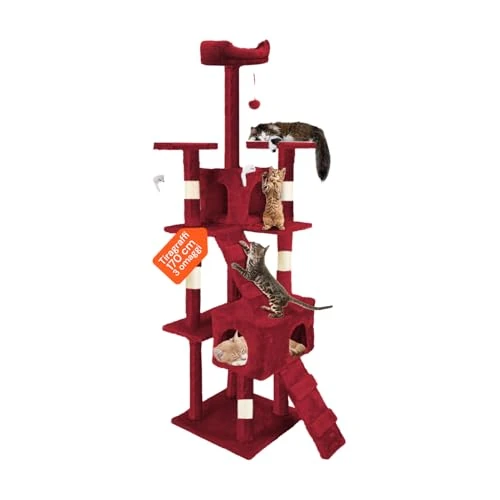Wintem Arbre à chats avec niches et jeux Bordeaux 170 cm