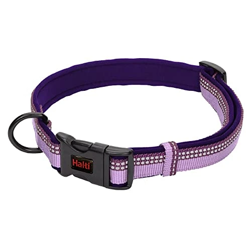 Offerta a tempo: Collare Comfort HALTI - Cinghia regolabile con imbottitura in neoprene e tessuto 3M catarifrangente. Nylon di qualità. Leggero e ideale per cuccioli e cani piccoli (Taglia S, Viola) - 54% da 19.99 € a 9.26 €
