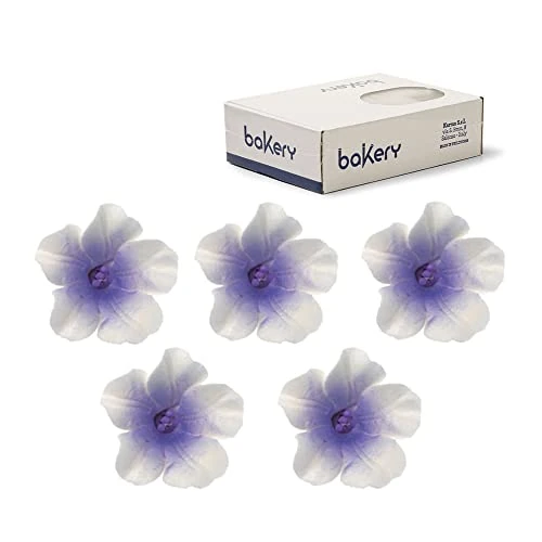 Offerta a tempo: Decora 0500178 Confezione da 12 Azalea Bianco Con Centro Viola - 8% da 16.29 € a 15.04 €