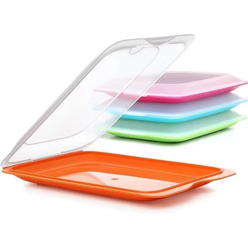 TATAY Vleeswaren Bewaardoos Fresh | 1 Stuk Standaard | Koelkast Bakje | Deksel Afneembaar, Stapelbaar | Geschikt voor Vriezer, Magnetron en Vaatwasser | BPA-vrij, 17x3,2x25,2cm, Willekeurige Kleur