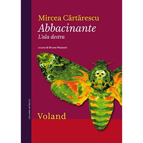 Abbacinante. L'ala destra