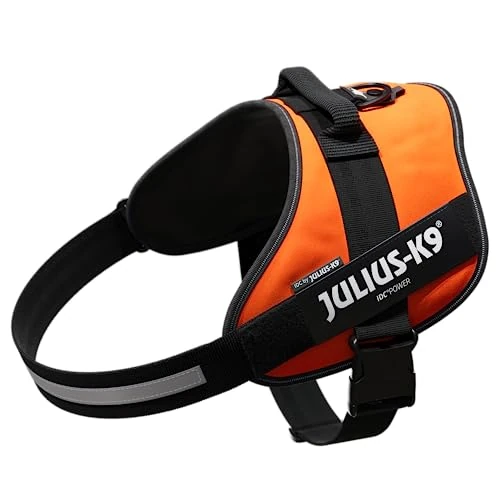 期間限定オファー: IDCパワーハーネス, サイズ: 3XL/4, UVオレンジ 通常価格 6939.00 JPY セール価格 6939.00 JPY (割引 0%)