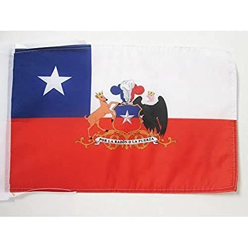 Offerta a tempo: AZ FLAG Bandiera Cile Con Stemma 45x30 cm - Bandierina Cilena 30x45 cm Cordicelle - 17% da 5.95 € a 4.95 €