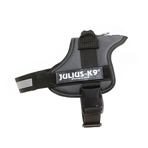 Offre limitée : JULIUS K-9 Power, Anthracite, Taille - L/1 de 41.99 EUR à 35.69 EUR (remise 15%)
