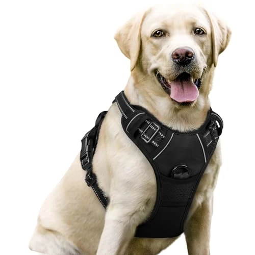 Oferta limitada: rabbitgoo Arnes Perro Grande Mediano Pequeño Arnés Pecho Antitirones Perros Coche con Lineas Reflecantes Cómodo Transpirable Chaleco Acolchado Ajustable para Adiesreamiento Correr Negro Tamaño Grande de 21.99 € a 21.99 € (ahorro 0.00%)