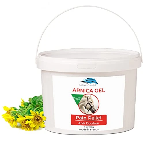 Offerta a tempo: Arnica Gel FORTE & Concentrato 90% di Estratto di Arnica BIO da Agricoltura Biologica. Gel Massaggi Muscolari e Articolari. Idratante per la Pelle - 2200 g 2.2 kg - 25% da 33.34 € a 25.01 €