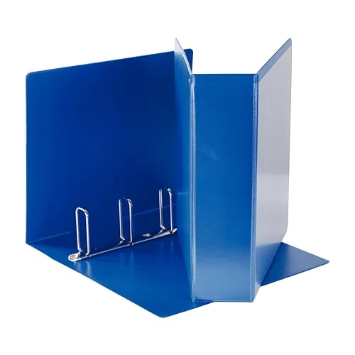 Offerta a tempo: Esselte Raccoglitore a Display in PP Personalizzabile (2 tasche) Anelli 4- 65 - a Q - Formato Maxi - Blu - 394758500 - 5% da 13.98 € a 13.31 €