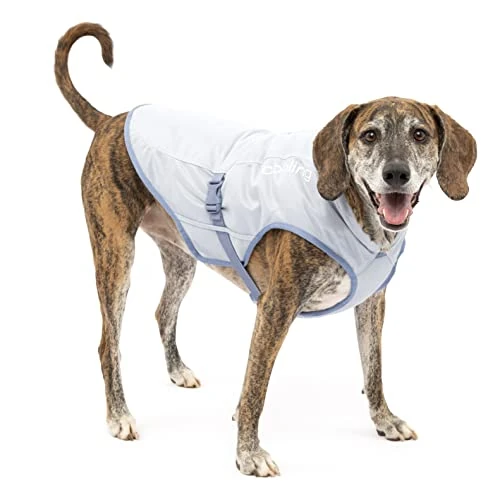 Limited-time offer: Kurgo Dog Core Cooling Vest - Summer Cooling Jacket - Evaporative Cooling Coat - Harness-Compatible - Reflective Accents - Grey - Large from $39.95 to $39.95 (save 0.00%)