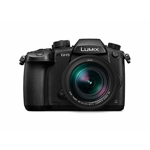 Panasonic Lumix DC-GH5 12-60 / 2.8-4.0 Leica DG Vario Elmarit