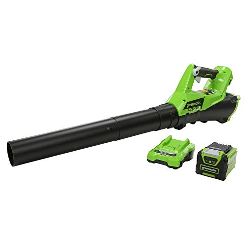 Offerta a tempo: Greenworks G40ABK2 Souffleur à Batterie Axial de Feuilles Mortes Sans Fil, avec Régulateur de Vitesse, 177 km/h, 11,05 m³/min, Batterie 40V 2Ah et Chargeur, Garantie 3 Ans - 19% da 159.99 € a 129.99 €