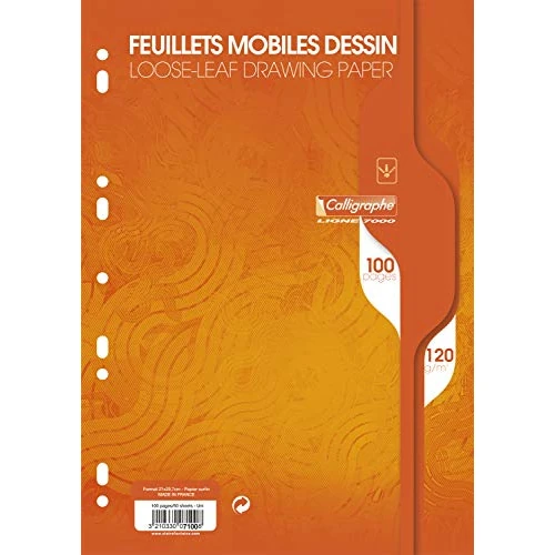 Offre limitee: Calligraphe 7100C Un Paquet de Feuillets Mobiles Dessin Perforés sous Film (une Marque de Clairefontaine) - A4 21x29,7 cm - 100 Pages Unies Blanches - Papier 120 g de 7.28 EUR a 7.28 EUR (economie 0%)