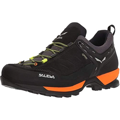 Salewa Mountain Trainer Gore-Tex Chaussures Basses de Randonnée Homme, Bleu, 10