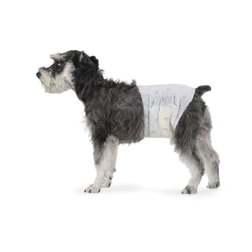 Amazon Basics Pañales desechables para perros macho, M, paquete de 30, color blanco