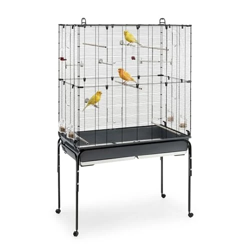 Tijdelijke aanbieding: Ferplast 52066817 PLANETA, grote kooi, geschikt voor kanaries, grasparkieten en exotische vogels. Incl. een plank wieltjes het opbergen van voorwerpen 97 x 58 173,5 cm van 219.99 € naar 219.99 € (0.00% korting)