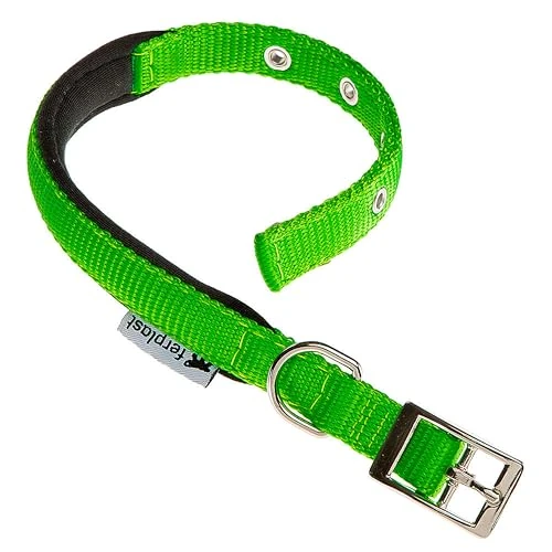 Offerta a tempo: Ferplast Collare Cane Taglia Media Collare per Cani in Nylon Imbottito Regolabile Fibbia Metallica, Misura Collo 32-39 cm, Verde - 39% da 9.90 € a 6.04 €