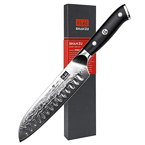 SHAN ZU Couteau Santoku Japonais 18cm, Couteau Damas en Acier Japonais 67 Couches, Poignée G10 - PRO Series, Argenté