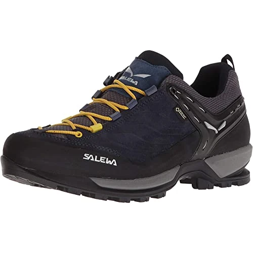 Salewa Mountain Trainer Gore-Tex Chaussures Basses de Randonnée Homme, Bleu, 9.5