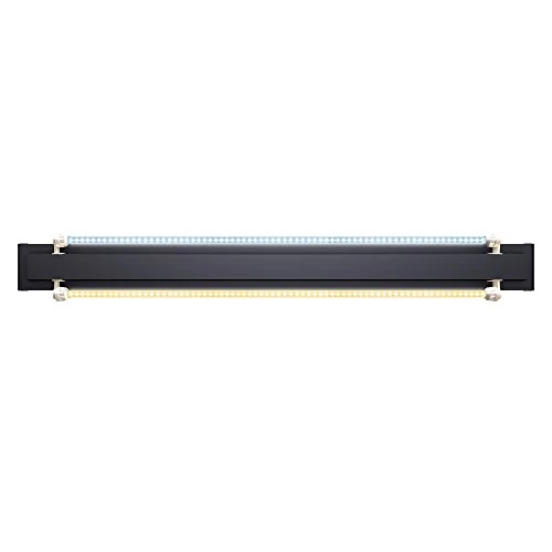 Zeitlich begrenztes Angebot: Juwel Aquarium - MultiLux LED Einsatzleuchte 80 cm -passend für Rio 125 von 92.99 € auf 92.99 € (0.00% Rabatt)