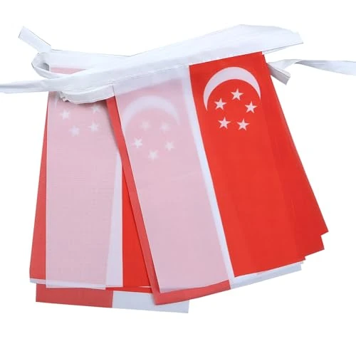 Offre limitée : AZ FLAG - Guirlande Drapeau Singapour - 6 Mètres Avec 20 Fanions Singapourien De 21x14 cm - Petits Drapeaux 100% Polyester - 60g de 15.94 € à 15.94 € (0.00% de remise)