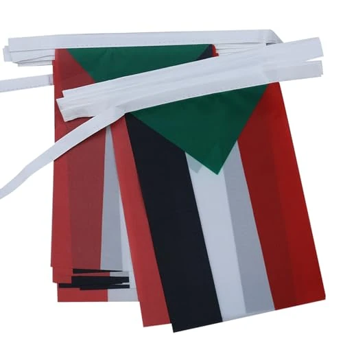 AZ FLAG Guirnalda 6 Metros, 20 Banderas de Sudán 21x15 cm, Bandera Sudanés 15 x 21 cm - Banderines