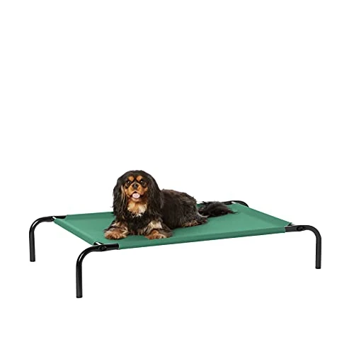 Offerta a tempo: Amazon Basics Lettino rialzato rinfrescante per animali domestici Cane - S, Verde - 0.00% da 23.95 € a 23.95 €