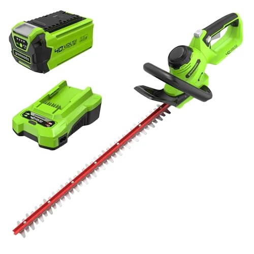 Offerta a tempo: Greenworks G40HT61K2 Tagliasiepi a Batteria, Lame a Doppia Azione da 61cm — 30% da 209,99 € a 147,39 €