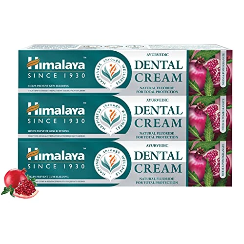 Himalaya Herbals Dental Cream Toothpaste 100g (Classic, 3 PACK)