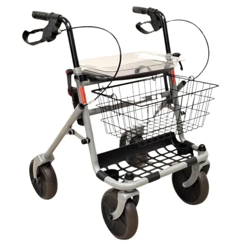 Offerta a tempo: TERMIGEA RO7 - Deambulatore, Rollator Pieghevole Per Anziani, Disabili E Malati, Sedile In Plastica Con Vassoio, Cestino Portaoggetti, Porta Bastone - 0.00% da 71.90 € a 71.90 €