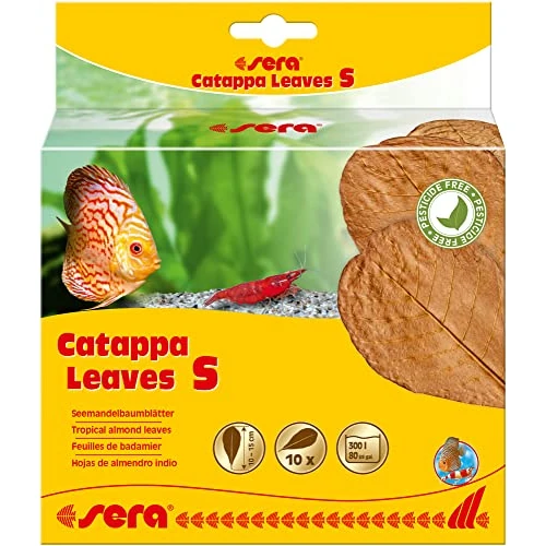 sera Catappa Leaves S 10 – 15 cm (10 Unidades) – Hojas de almendras Marinas para el Tratamiento Natural del Agua