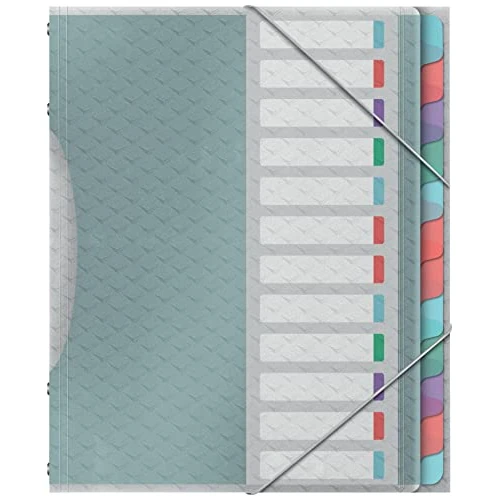 Oferta limitada: Esselte Carpeta Divisora con 12 Pestañas, A4, Organizador de Documentos Libre de Ácidos, Fundas de Plástico Transparente, Casa/Oficina, Patrón en Relieve, Gama Colour'Breeze, Multi Colour,626256 de 9.89 € a 9.89 € (ahorro 0.00%)