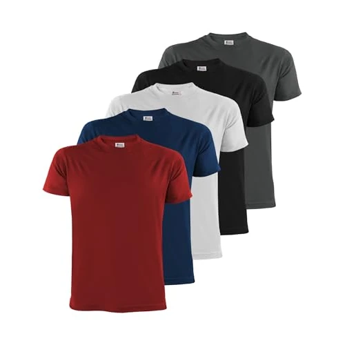 ALPIDEX T-Shirts Hommes Unis ࠃol Rond Lot de 5, Taille L,Fire