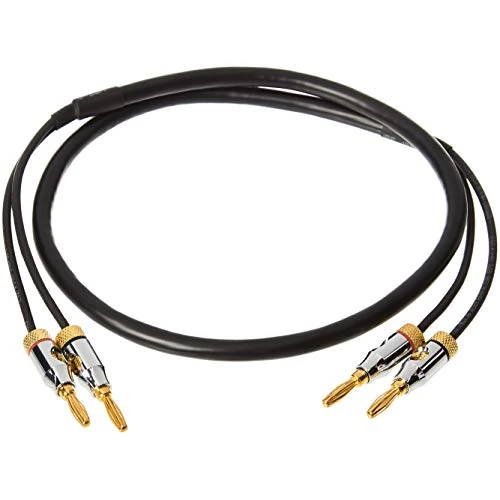 Offre limitée : Amazon Basics Câble de hauts-parleurs avec fiches bananes plaquées or - CL2 - 99,9 % sans oxygène - 0.9 m, Noir, auxiliaire de 9.99 € à 9.99 € (0.00% de remise)