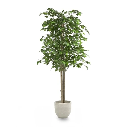 Zeitlich begrenztes Angebot: Maia Shop Ficus Künstlich 150 cm - Deko-Baum wie echt für Innen von 69.90 € auf 69.90 € (0.00% Rabatt)