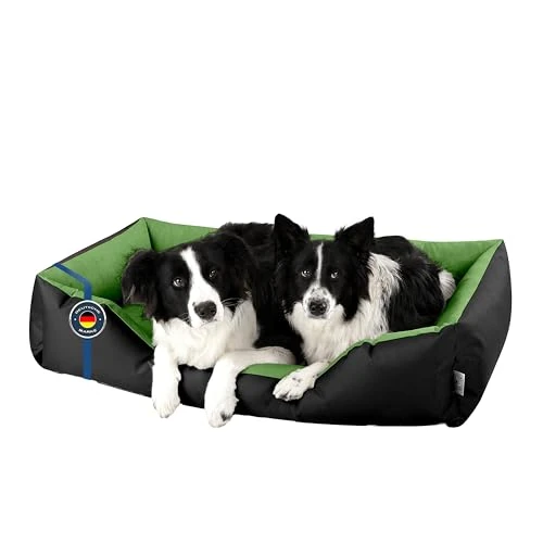 Tijdelijke aanbieding: BedDog® hondenmand LUPI, vierkant hondenkussen, grote hondenbed, hondensofa, hondenhuis, met afneembare hoez, wasbaar, XXXL, zwart/groen van 61.54 EUR naar 61.54 EUR (korting 0%)