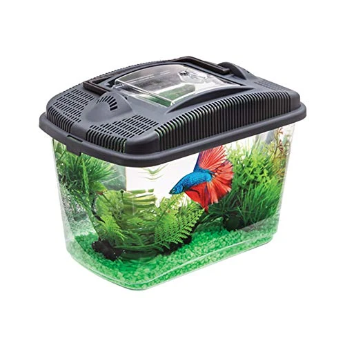 Oferta limitowana: Aquael 114563 Betta Kit, czarny, 790 g z 49.10 zł na 49.10 zł (oszczędź 0.00%)