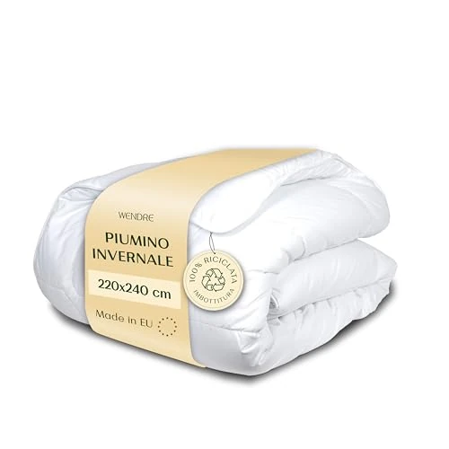 Wendre Piumone Matrimoniale Invernale Molto Caldo 220x240 – Piumone Letto Matrimoniale 300 GSM in Microfibra Anallergica – Certificato OEKO-TEX, Lavabile e Traspirante