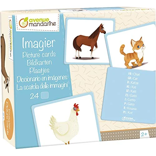Tijdelijke aanbieding: Avenue Mandarine - Box beeldkaarten vertrouwde dieren - 24 meertalige kaarten, vertaling in 10 talen - veelzijdige mogelijkheden voor leerspellen - leerspel vanaf 2 jaar - JE513C van 21.37 € naar 21.37 € (0.00% korting)