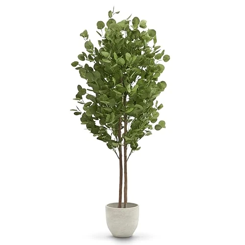 Offerta a tempo: MAIA SHOP Eucalipto Finto 150 cm - Pianta Artificiale da Interno Realistica | Pianta Artificiale Alta con Tronco Naturale e Foglie in PE per Casa Soggiorno Ingresso Ufficio - Vaso Nero Incluso - 0.00% da 78.90 € a 78.90 €