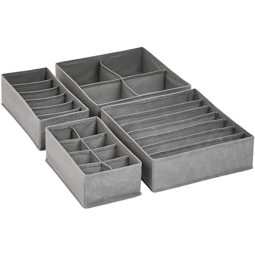 Offerta a tempo: Amazon Basics Organizer per cassettiera, per biancheria intima, 4 unità - 30% da 19.54 € a 13.68 €