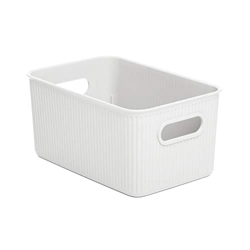 Offerta a tempo: TATAY Scatola Portaoggetti Baobab Senza BPA Design Compatto Versatile - 0.00% da 9.09 € a 9.09 €