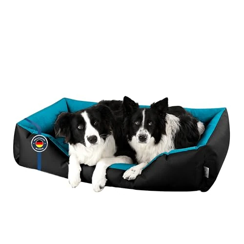 Tijdelijke aanbieding: BedDog® hondenmand LUPI, vierkant hondenkussen, grote hondenbed, hondensofa, hondenhuis, met afneembare hoez, wasbaar, XXL, zwart/blauw van 42.91 EUR naar 42.91 EUR (korting 0%)
