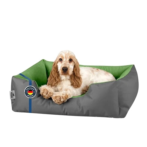 Begrenztes Angebot: BedDog Hundebett LUPI, Hundekissen mit Abziehbaren Waschbaren Bezug, Hundekorb, Hundesofa, für Kleine Hunde, S, grau-grün von 21.32 EUR auf 21.32 EUR (Rabatt 0%)