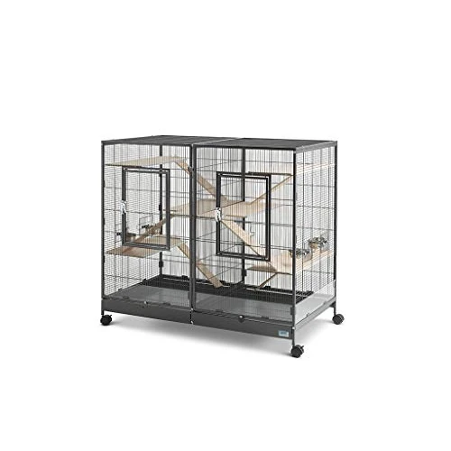 Oferta limitada: Savic Juego de Madera para Tasmania 120 de 120.79 € a 120.79 € (ahorro 0.00%)