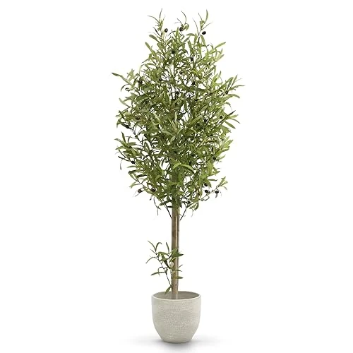 Offerta a tempo: Maia Shop Ulivo Finto da Interno 150 cm - Pianta Artificiale Realistica - 0.00% da 89.90 € a 89.90 €