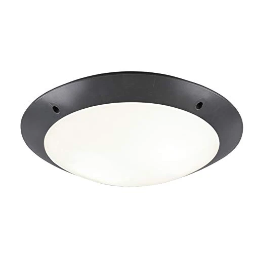 Offerta a tempo: Reality Leuchten R60502042 Plafoniera 12 W, Anthrazit - 41% da 42.36 € a 24.99 €